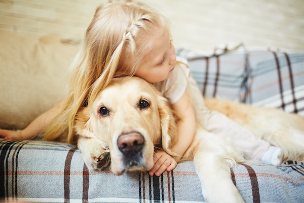Animali domestici: la parola all'esperta