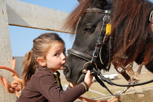 Pet therapy, il cucciolo che ti cura