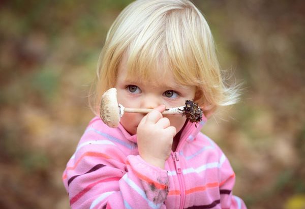 A che età un bambino può mangiare i funghi?