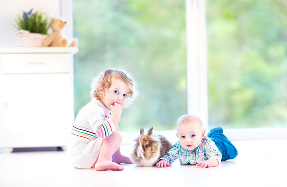 Vivere bene con gli animali la quotidianità